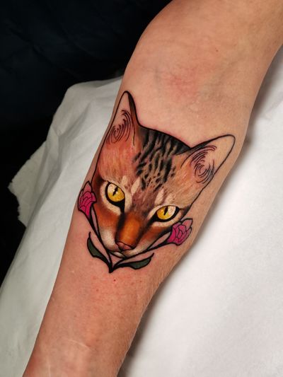 Kitty portrait 