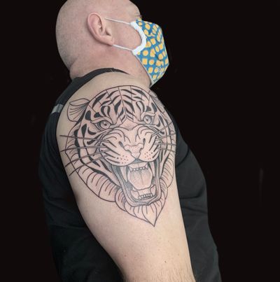 Tiger geometric